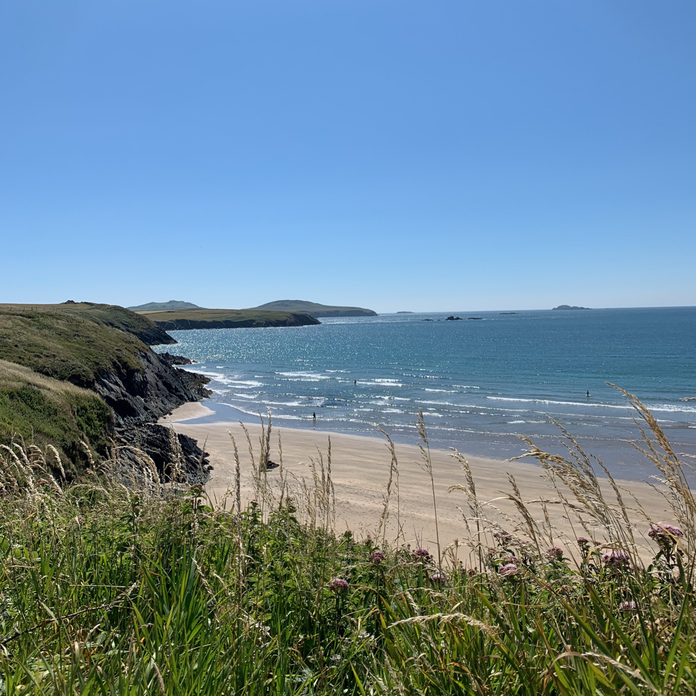 Stacks Image 644